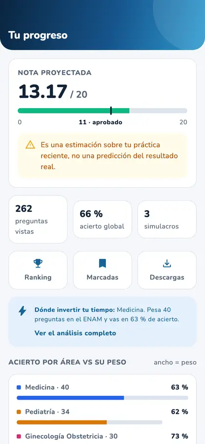 La app: la nota proyectada y el acierto por área